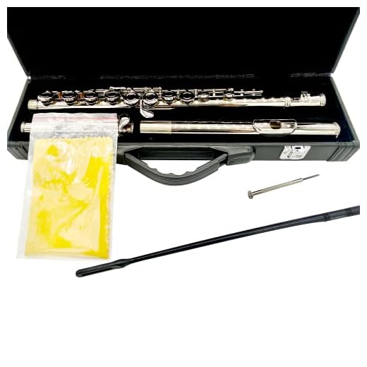 TEACHER APPROVED! Carolina Winds Intermediate Flute (cw401flt) Silver
