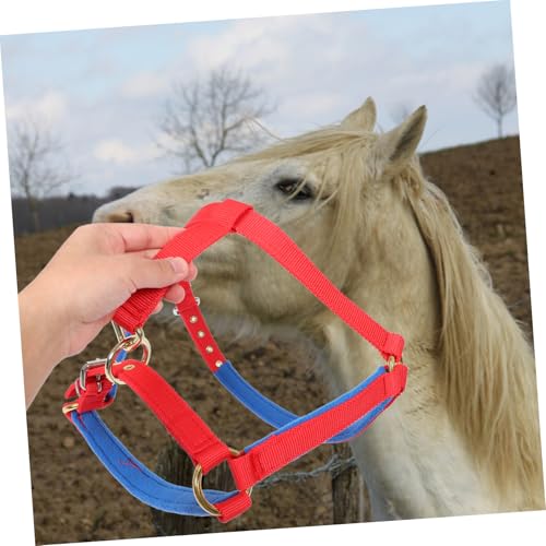 Mors horse gear SUPVOX : la solution ajustable contre l'inconfort du cheval