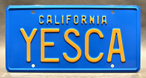 Celebrity Machines Cheech & Chong’s Up In Smoke | Metal Stamped License Plates #TOP3