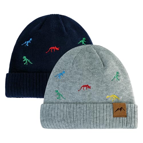 Image of XIAOHAWANG Knit Toddler Beanies Girls Boys Cute Kids Winter Hat Infant Dinosaur Baby Beanie Hats