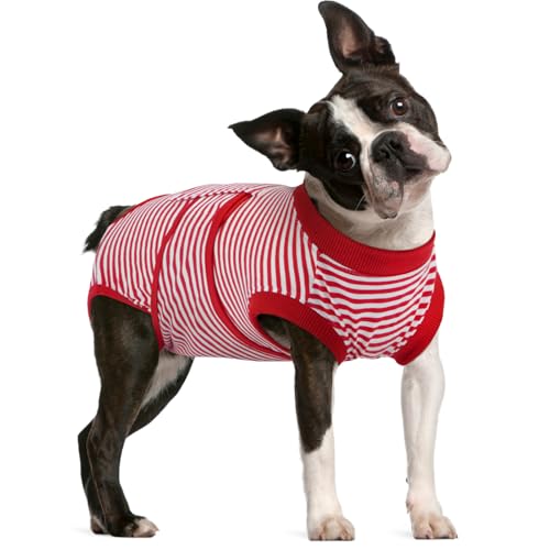 FUAMEY Dog Recovery Suit Male,Dogs Surgery Neuter Suits Puppy Spay Shirts for Female Protect Dog's Skin Anti Licking Abdominal Wounds Doggie Onesie Pe