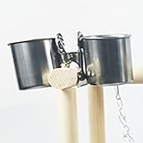 Échelles doubles : ---- La conception à double échelle offre une expérience d'escalade agréable pour les oiseaux, favorisant l'exercice et la santé globale.