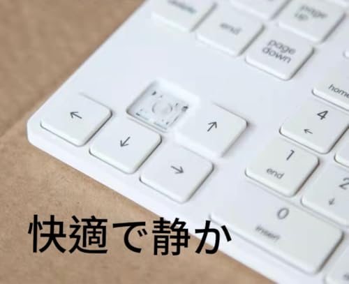 Levieny テンキー 有線【有線 USB+Type-C 両対応】34 キー 薄型 ショートカットキー付き 片手操作 外付け数字キーボード Windows/Mac/iPad/iPhone/ノート PC 対応 経理・事務・在宅ワーク・会計作業向ホワイト