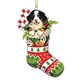 Bernese Mountain Dog Christmas Flat Acrylic Ornament – Adorable Bernese Mountain Puppy in Stocking with Candy Canes, Festive Holiday Decoration - 2024 Dog Christmas Tree Hanging Ornament