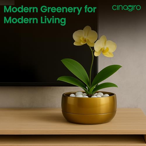 Image of CINAGRO Metal Planter Pot for Indoor Plants, Round Decorative Flower Pot, Rust-Resistant, Modern Plant Holder for Home, Balcony, Office (13.97 x 7.62 cm, Pulse Nest - Gold)