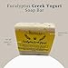 Michelle's Creatives Eucalyptus Greek Yogurt Soap Bar - Handmade Bath Soaps made With Organic Greek Yogurt - Natural Moisturizing Soap Bar - Vegan and Luxury Soap for Sensitive Skin