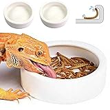 Reptile Food Dish Bowl, Worm Water Dish Small (2.75in) Lizard Gecko Ceramic Pet Bowls, Mealworms Bowls for Leopard Bearded Dragon Chameleon Hermit Crab Dubia Cricket Anti-Escape Mini Superworm Feeder