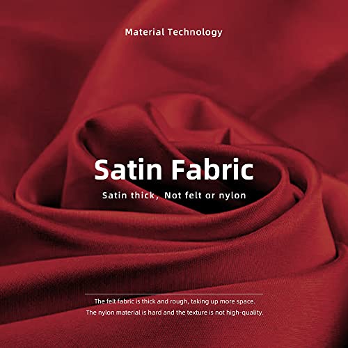 Dgaz Purse Organizer Insert Fits Lv Neverfull Mini/Pm/Mm/Gm Bags，Silk Bag Organizer，Luxury Handbag & Tote Shaper（Mm） #TOP1