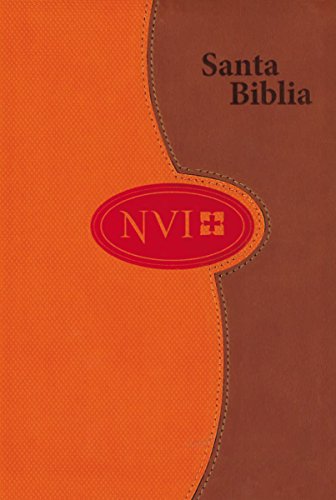 Biblia NVI de letra grande - A dos tonos: Gris/Color ladrillo (Spanish Edition)