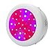 Produktbild LED Licht Wachsen Lassen 70W Das Ganze Spektrum Hydroponic Wachsende Lampe Licht Zimmerpflanzen Gemüsebau Lampen Gartenarbeit Kein Geräusch (Size : 70w)