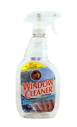Earth Friendly Window Kleener - 22 fl oz