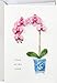 Hallmark Signature Birthday Card for Her (Orchid)