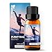 SenseLAB Miscela di oli essenziali Purifying - Estratto puro al 100% - Una miscela di sette oli essenziali di grado terapeutico per diffusore di aromaterapia e umidificatore (10ml)