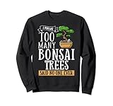Albero bonsai