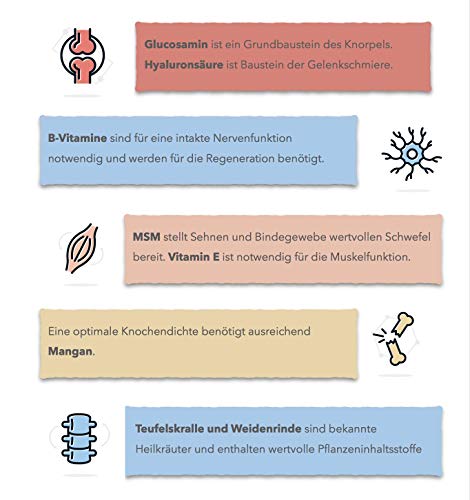 CaniMove Motion mini - 100 hochentwickelte Gelenktabletten für kleine Hunde, mit MSM, Hyaluronsäure, Gag, GLME, tierärztliche Rezeptur (100 Tabletten)