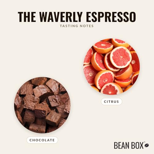 The Waverly Espresso - Café en Grano 12 Onzas miniatura 3