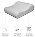 Contour Velour Pillow Case, Standard (Case ONLY)