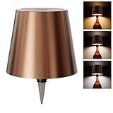 WOKWOYIO Wine Bottle Lights, Bottle Lamp Shade with 3 Color Temperature, Rechargeable Stepless Dimming LED Wine Bottle Light for Any Bottle, Desk Lamp for Bedroom Restaurant Bar-Champagne