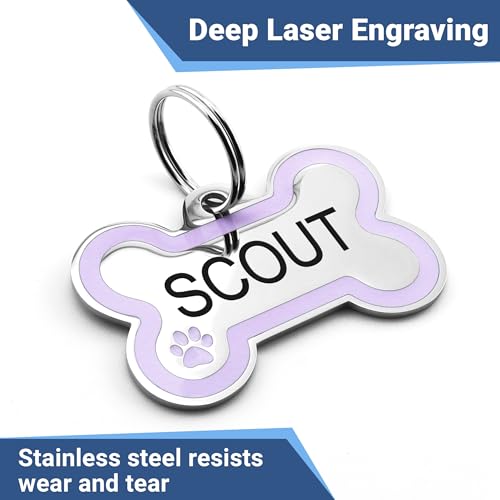 GoTags Stainless Steel Bone Dog Tag with Color Outline and Paw Print, Personalized Pet ID Tag for Dogs and Cats, Custom Engraving with up to 5 Lines of Text on Both Sides (Green, Regular)