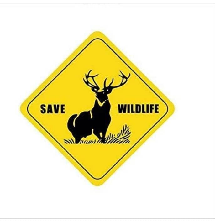 Roonir® Animal Sticker Car Sticker Car Stickers Exterior Save Wild Life Vinyl Decal (Black and Yellow)