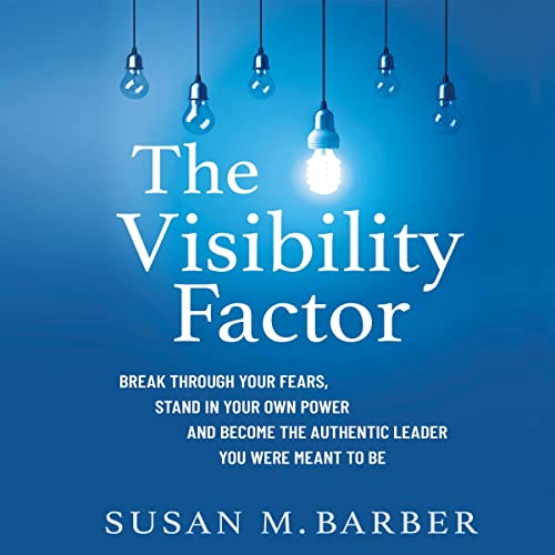 The Visibility Factor by Susan M. Barber episode artwork