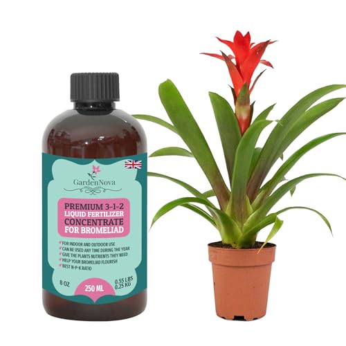 Premium Liquid Bromeliad Fertilizer - 3-1-2 Concentrate for Indoor Plants and Flowers by GardenNova | Organic Plant Food for Bromeliads - 8oz