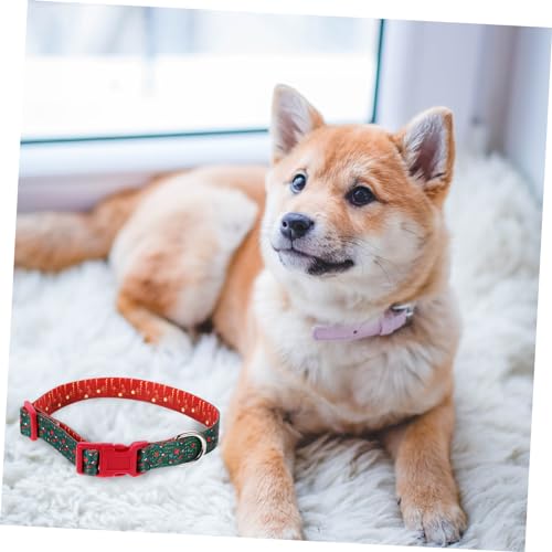Collier de chiens d'une finition durable et confortable pour animaux de compagnie