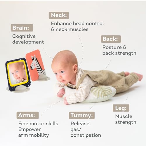 Image of Taf Toys Tummy Time Set with Ergonomic Toy, Double-Sided High Contrast Black & White Flash Cards & Mirror Card, Developmental Baby Play Mat Accessories & Card Stands for Newborn Infant Tummy Time