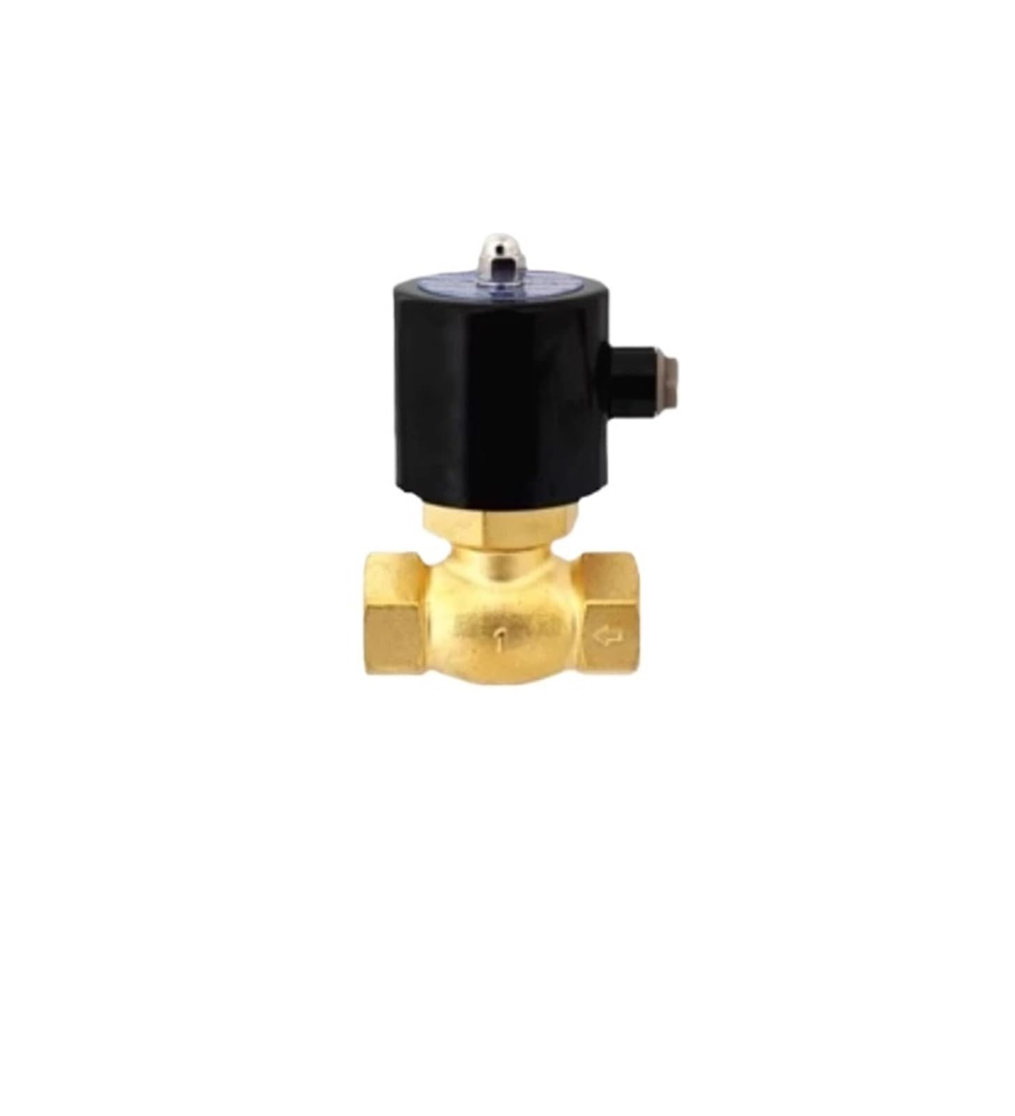 Électrovanne vapeur DN25 cuivre vanne solénoïde 220V haute température