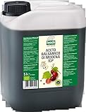 essig 5 l kaufen Balsamico Qualität aus der Region Modena in Italien