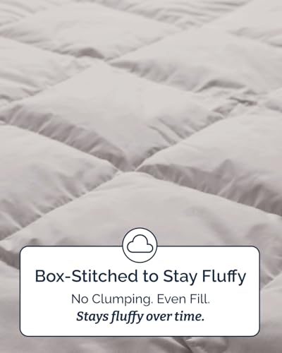 Image of Twin Size, Light Gray Alternative Down Comforter - Warm, Lightweight & Breathable Hotel Quality Bedding for Men, Women, Kids and Teens - All Season Oversized Cooling Microfiber Duvet Insert Comforter