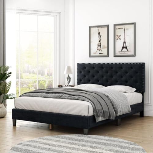 Image of Julius Upholstered Bed Queen Size Without Storage Solid Sheesham Wood | Modern Premium Fabric Upholstery Cushion Headboard | Queen Bed for Bedroom Wooden Double Bed Cot 78x60 Inch Queen