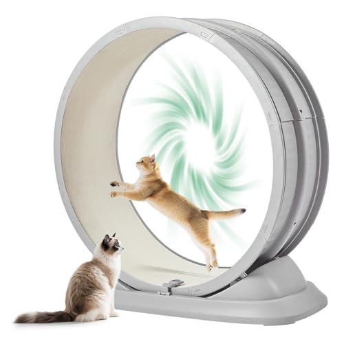 Rodas para gatos em ambientes internos, roda de corrida grande para gatos de 83,8 cm, passadeira par