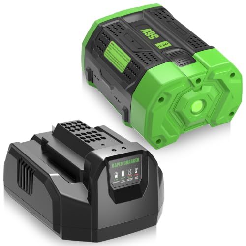 Image of 1Pack 10000mAh 56V Battery and Charger CH2100 Replacement Battery for EGO 56V Battery and Charger Kit,Compatible with EGO Battery 56Volt Cordless Tools(Black)