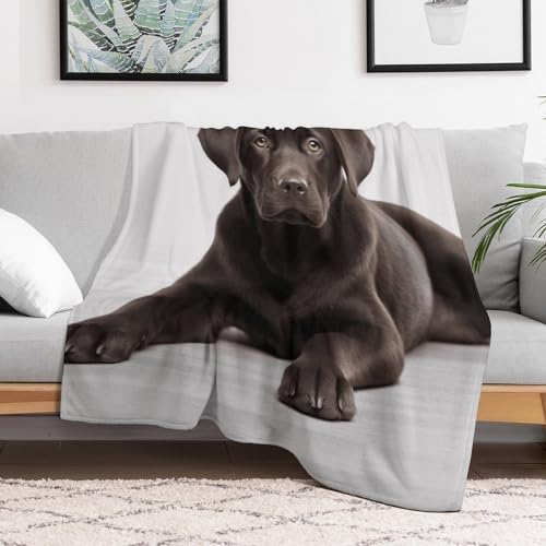 Couverture flanelle imprimé chien jeté de lit ultra doux 177x203