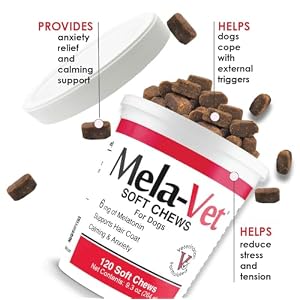 Mela-Vet Melatonin Calming Soft Chews for Dogs, Vet-Formulated to Provide Relaxation & Anxiety Relief, Helps Reduce Stress & Tension-Supports Healthier Skin & Coat.120 Tasty Soft Chews. Mela-Vet Melatonin Calming Soft Chews for Dogs, Vet-Formulated to Provide Relaxation & Anxiety Relief, Helps Reduce Stress & Tension-Supports Healthier Skin & Coat.120 Tasty Soft Chews.