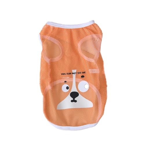 Morycatt ̕ L  ^Ngbv ybg hbOEFA ʋCbV m[X[u UoEFA m Eѕی ^ ČAHc (IW,XS)