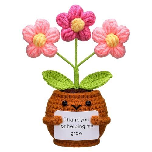 Wavwavw Christmas Teacher Appreciation Gift, Puff Flower