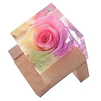 ブラスタ　ハーバリウム　晶 Amazon｜クリスタルハーバリウム 四つ葉×1個 花 ギフト