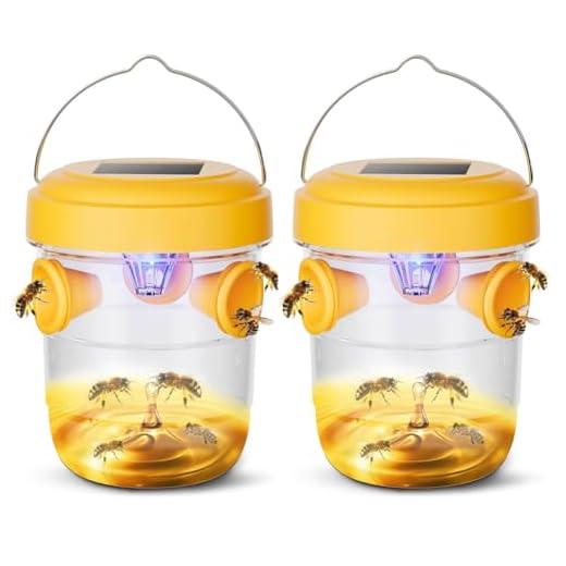 Reusable Wasp Trap with Solar Light
