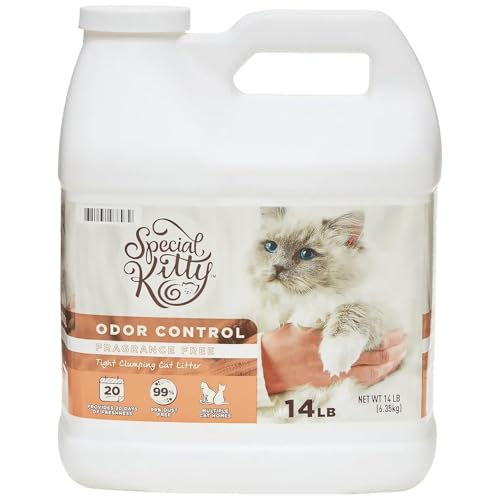 Special Kitty Tight Clumping Unscented, 14 lb