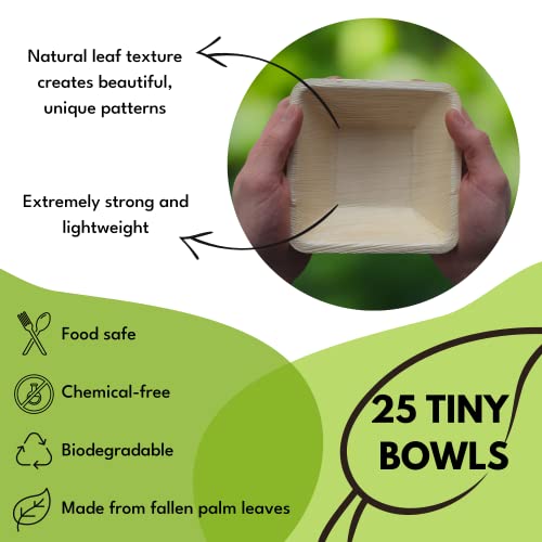 Naturally Chic Palm Leaf Bowls Bamboo Bowls Disposable 5 Inch Square Party (25 Pcs) - Wood & Bamboo Like, Eco Friendly, Compostable And Biodegradable Bowls For Weddings And Events #TOP1
