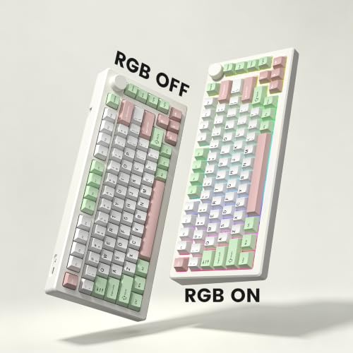 Image of dagaladoo Double Shot PBT keycaps Set, Cherry Profile Keyboard Keycaps