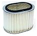 Hiflofiltro HFA1904 Premium OE Replacement Air Filter