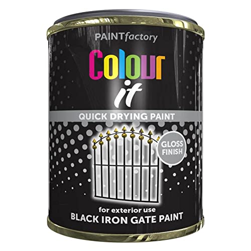 Q&H 300ML Black Iron Gate Paint Restore Wrought Iron Gates Tin - Multi-Surface Outdoor Small Garden Door Painting Quick Drying Paints - Transform Gates & Railing Glossy Finish for Exterior Use DIY (1)