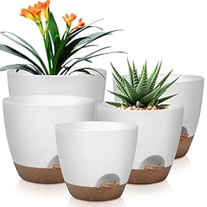 Plant Pots 10/9/8/7.5/7 Inch Self Watering Pots, Set of 5 Plastic Planters with Drainage Holes and Saucers,Plastic Flower Pots,Nursery Planting Pot for Indoor Out Door Plants（White）