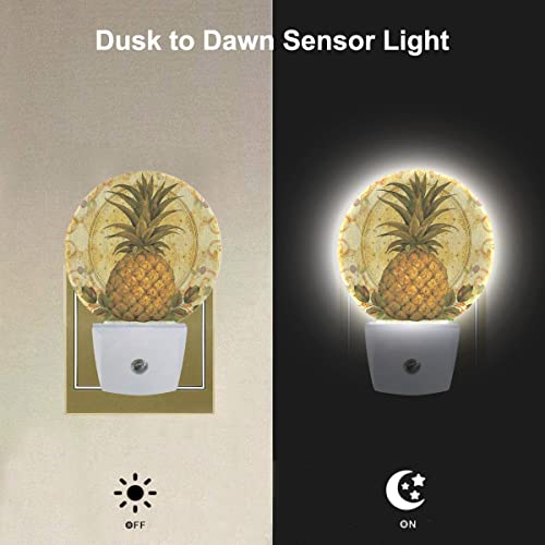Image of EKOBLA Boho Pineapple Night Light, Summer Tropical Fruit Night Lights Plug Into Wall with Light Sensor for Bedroom, Kitchen and Home Decor