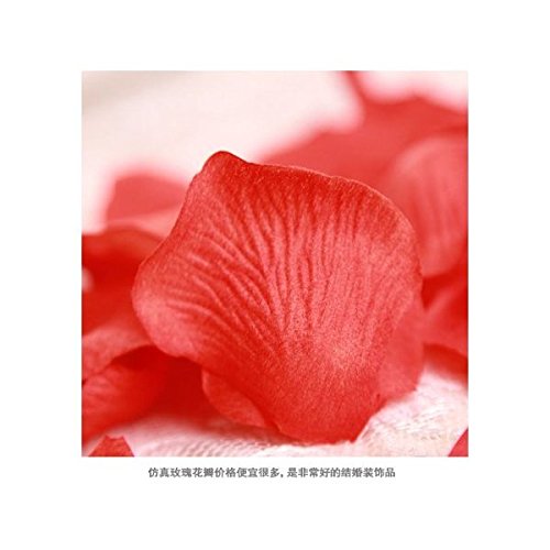 Amazon.co.jp: KASVIN華やかな演出! フラワーシャワー バラ の 花びら