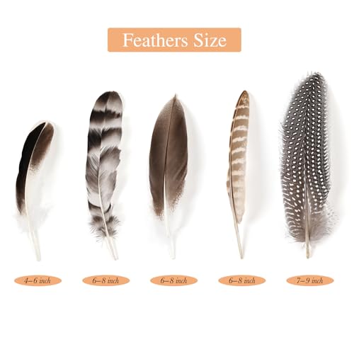 image for iHUFeather 40pcs Natural Pheasant Feathers Bulk Spotted Feathers 5 Sty