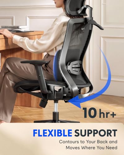 Image of FLEXISPOT OC3 Ergonomic Chair with Dual Front& Back Lumbar Support,MS Black